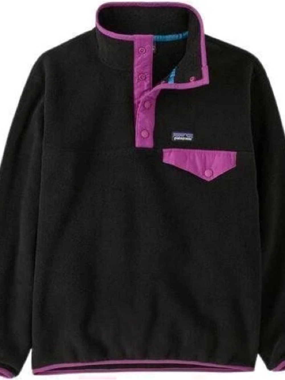 Patagonia Synchilla Fleece